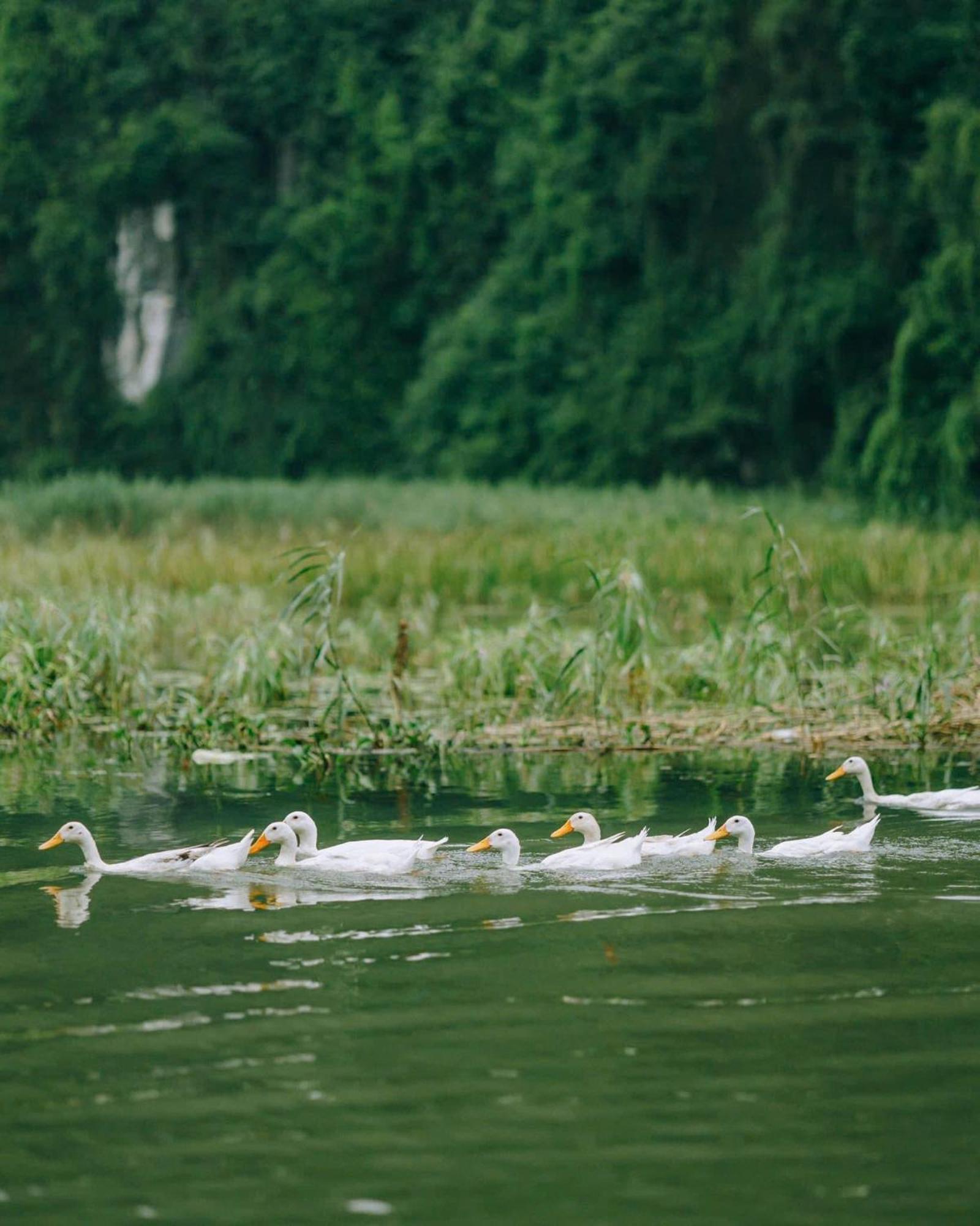 Tam Coc Sana Villa & Homestays Ninh Binh Zewnętrze zdjęcie