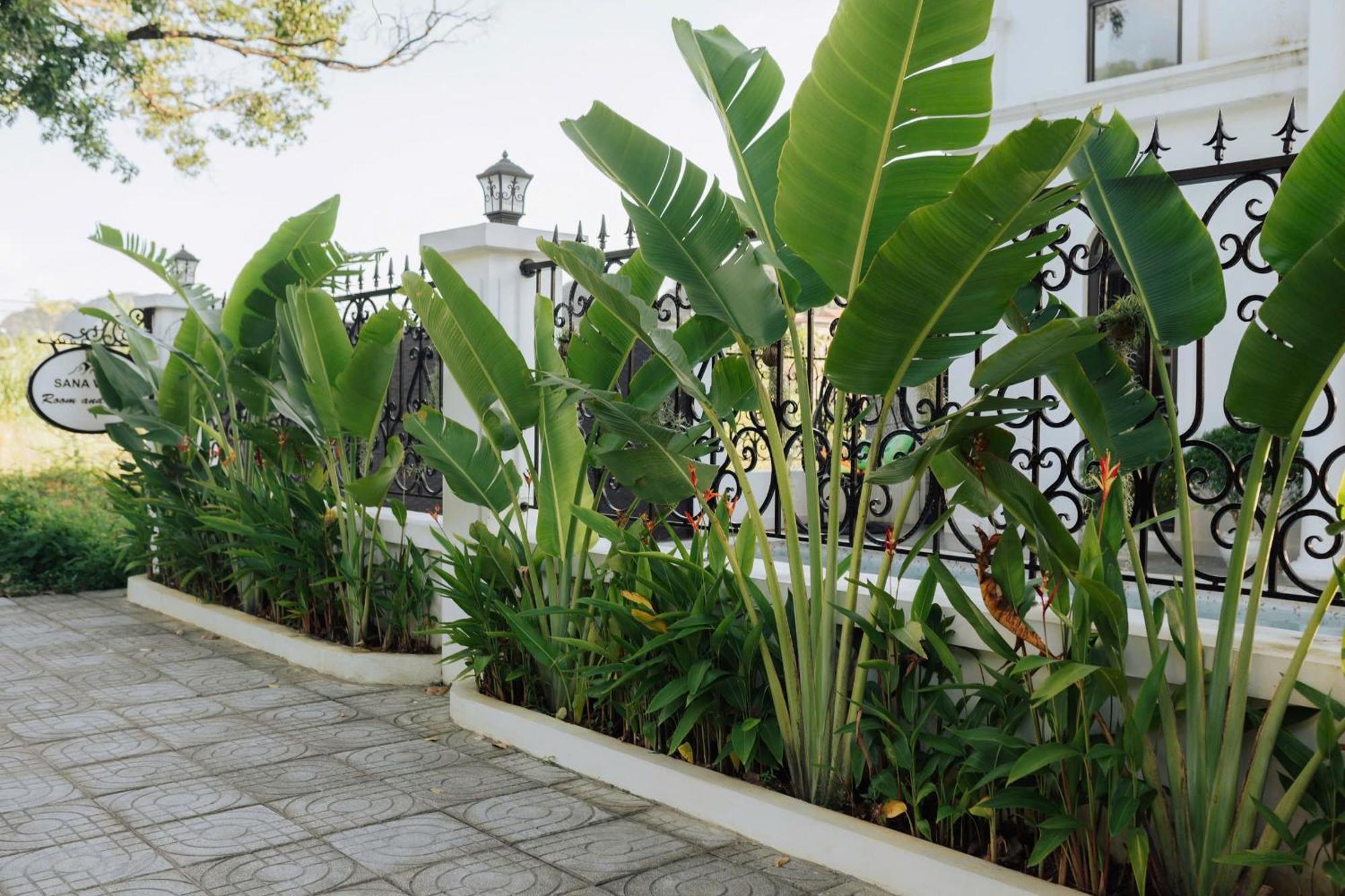 Tam Coc Sana Villa & Homestays Ninh Binh Zewnętrze zdjęcie